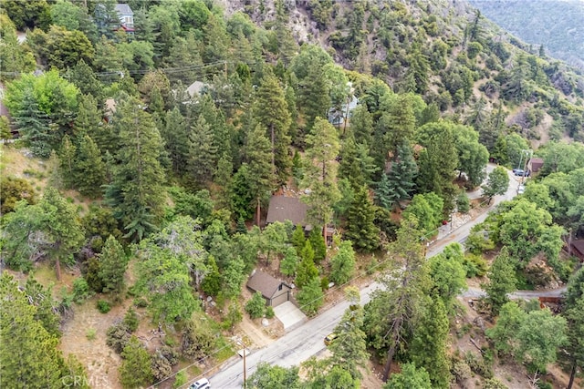 6429 Cedar Ave, Angelus Oaks, CA 92305 - view of property location