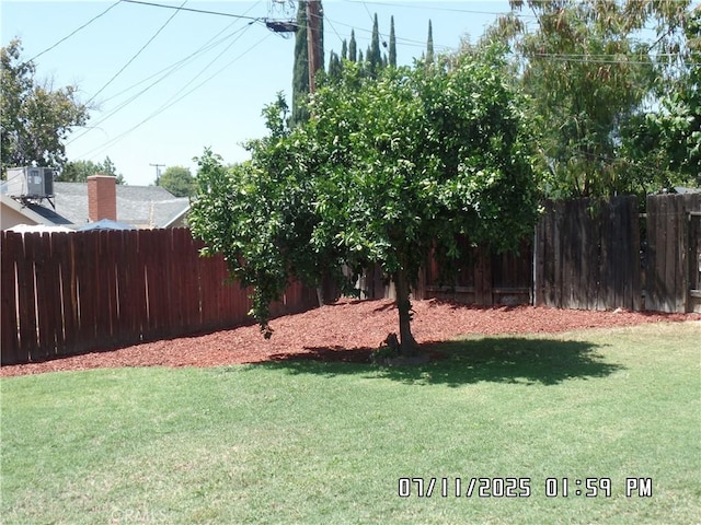 1676 Dumbarton Ave, San Bernardino, CA 92404 - view of yard