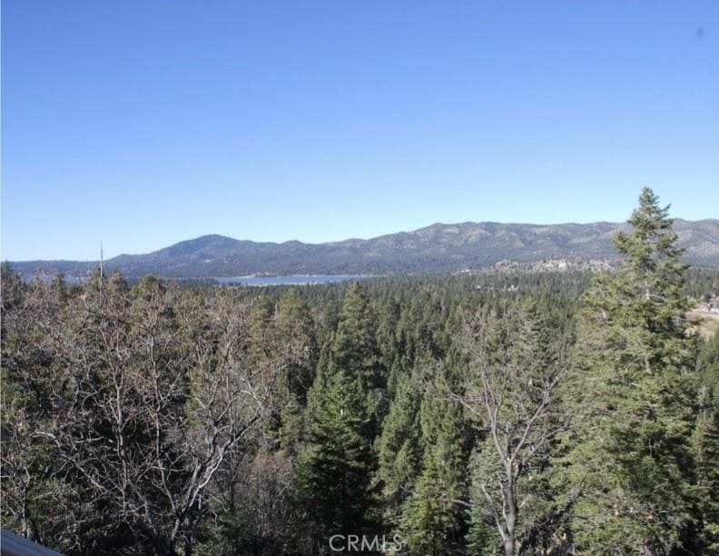 1223 Pigeon, Big Bear Lake, CA 92315 - photo 4