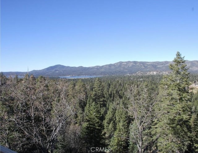 1223 Pigeon, Big Bear Lake, CA 92315 - photo 4