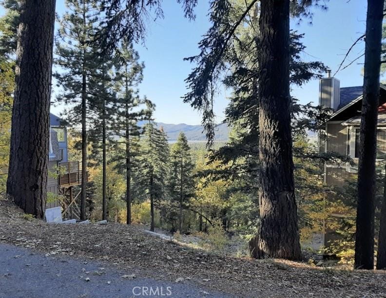 1223 Pigeon, Big Bear Lake, CA 92315 - photo 3