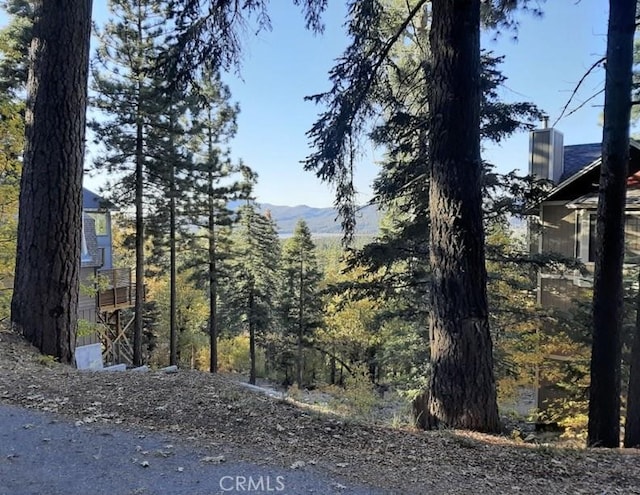 1223 Pigeon, Big Bear Lake, CA 92315 - photo 3
