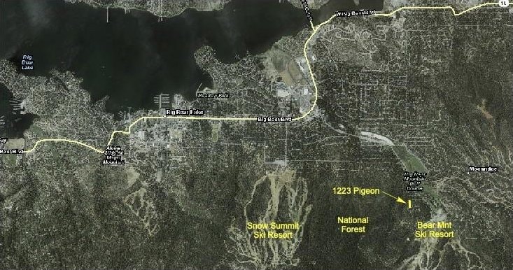 1223 Pigeon, Big Bear Lake, CA 92315 - photo 1