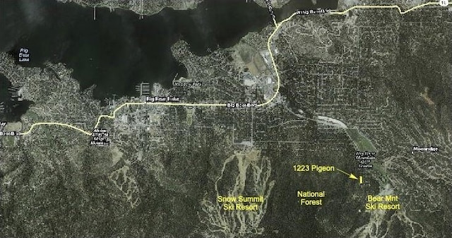 1223 Pigeon, Big Bear Lake, CA 92315 - photo 1