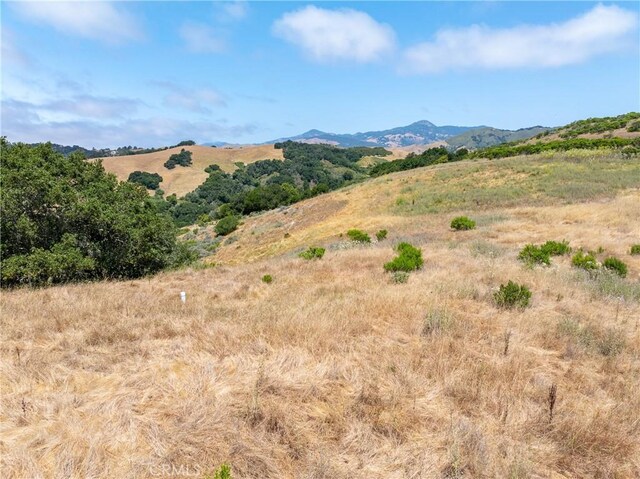 4344 Dos Cruces Ln, Cambria, CA 93428 - photo 13