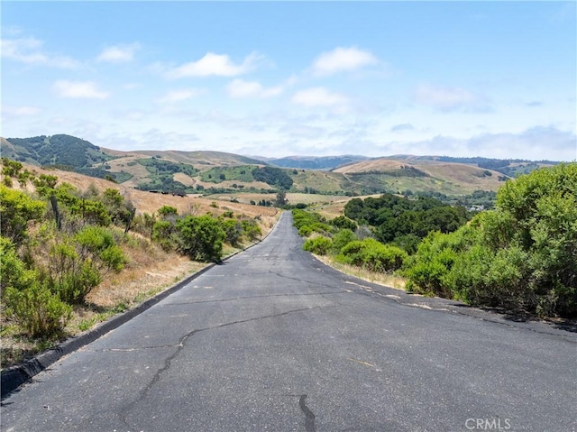 4344 Dos Cruces Ln, Cambria, CA 93428 - photo 4