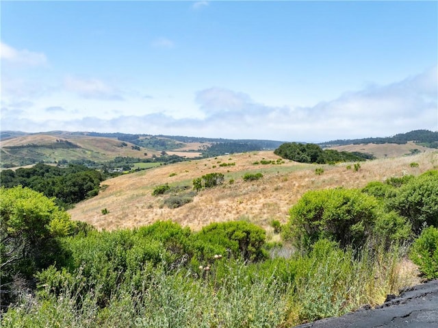 4344 Dos Cruces Ln, Cambria, CA 93428 - photo 25