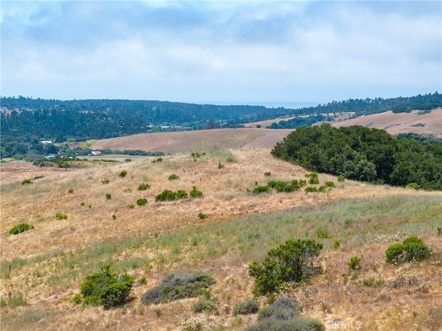 4344 Dos Cruces Ln, Cambria, CA 93428 - photo 8