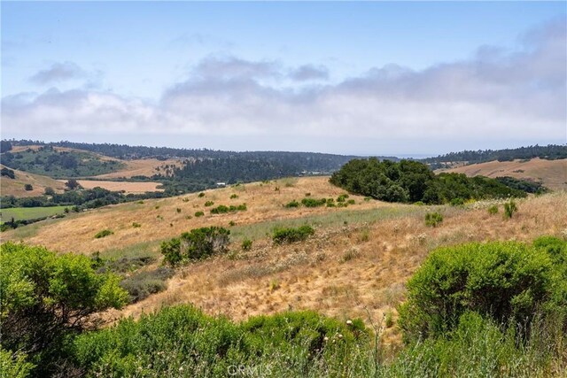 4344 Dos Cruces Ln, Cambria, CA 93428 - photo 30