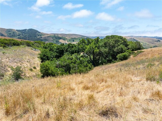 4344 Dos Cruces Ln, Cambria, CA 93428 - photo 26