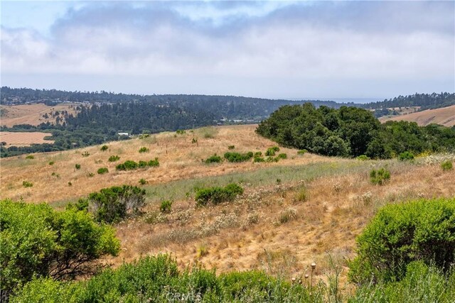 4344 Dos Cruces Ln, Cambria, CA 93428 - photo 31