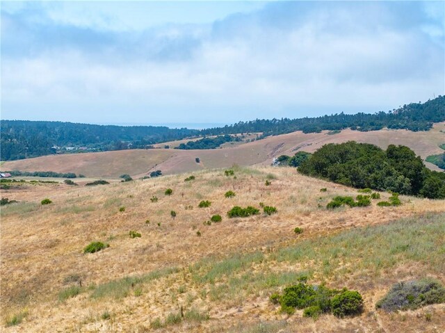4344 Dos Cruces Ln, Cambria, CA 93428 - photo 7