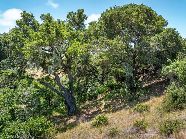 4344 Dos Cruces Ln, Cambria, CA 93428 - photo 27