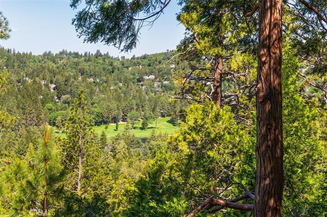 430 Rainier Rd, Lake Arrowhead, CA 92352 - view of wooded area