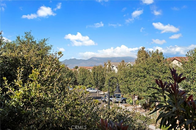 2 Jaripol Cir, Rancho Mission Viejo, CA 92694 - photo 15
