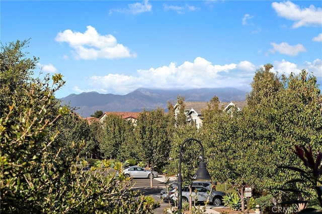 2 Jaripol Cir, Rancho Mission Viejo, CA 92694 - photo 4
