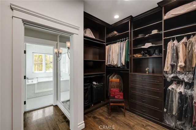 2711 Elm Ave, Manhattan Beach, CA 90266 - spacious closet with dark wood finished floors