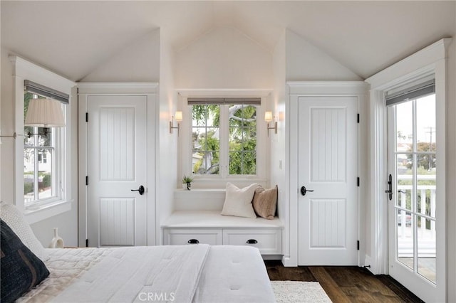 2711 Elm Ave, Manhattan Beach, CA 90266 - bedroom featuring lofted ceiling, access to outside, dark wood finished floors, and multiple windows