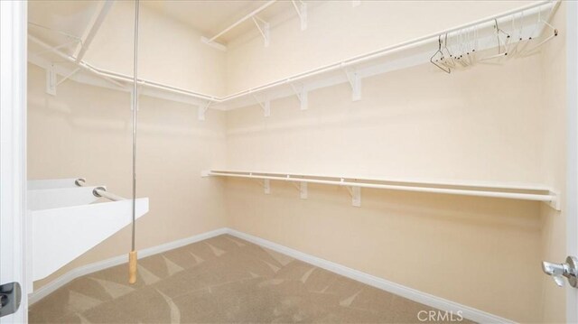 19484 Vermillion Ln, Apple Valley, CA 92308 - spacious closet with carpet