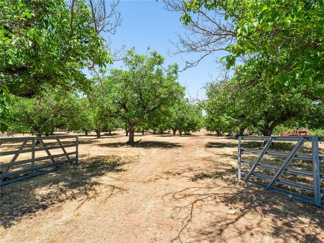 2485 Bell Hill Ln, Kelseyville, CA 95451 - photo 47