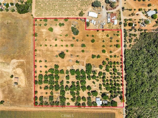 2485 Bell Hill Ln, Kelseyville, CA 95451 - photo 56
