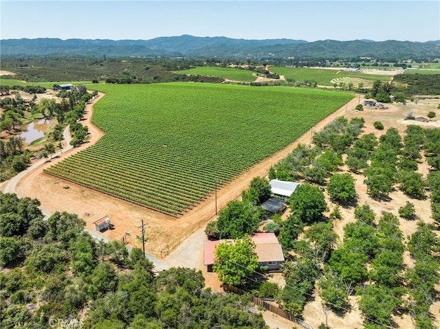 2485 Bell Hill Ln, Kelseyville, CA 95451 - photo 57
