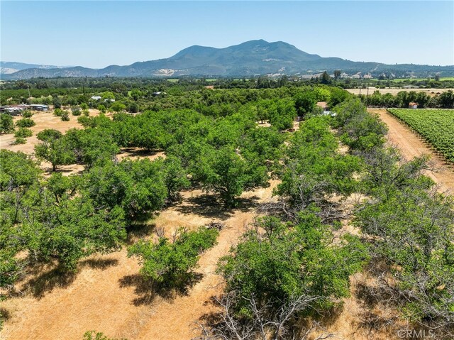 2485 Bell Hill Ln, Kelseyville, CA 95451 - photo 48
