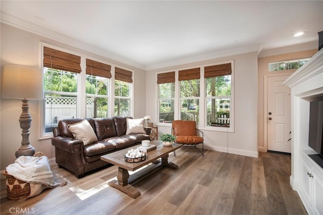 1 Evergreen Rd, Ladera Ranch, CA 92694 - living area with ornamental molding, light wood-style floors, plenty of natural light, and baseboards
