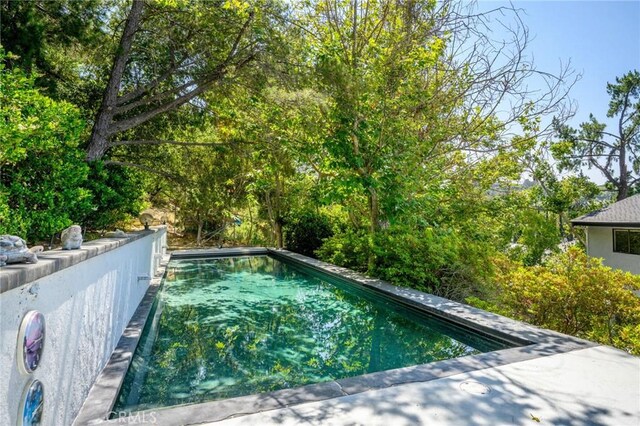 3545 Alana Dr, Sherman Oaks, CA 91403 - view of outdoor pool