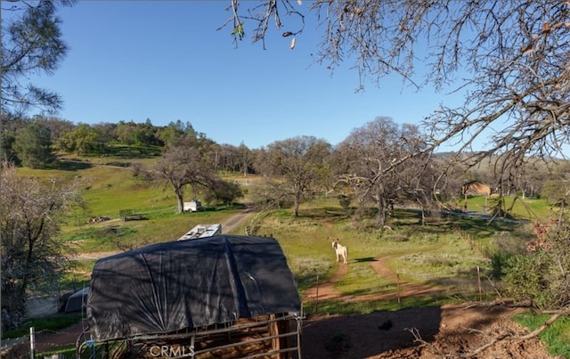 172 Rich Gulch Rd, Oroville, CA 95965 - photo 8