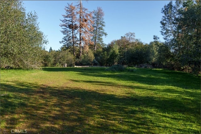 172 Rich Gulch Rd, Oroville, CA 95965 - photo 16