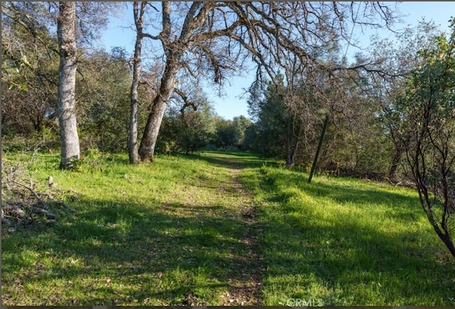 172 Rich Gulch Rd, Oroville, CA 95965 - photo 49