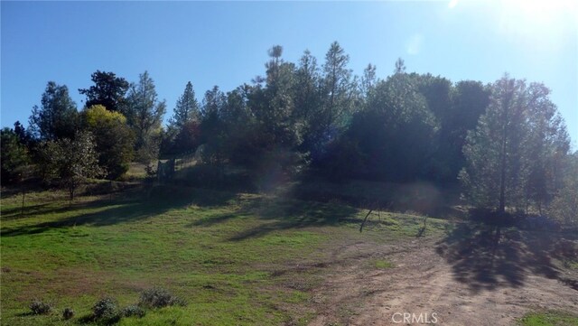 172 Rich Gulch Rd, Oroville, CA 95965 - photo 38