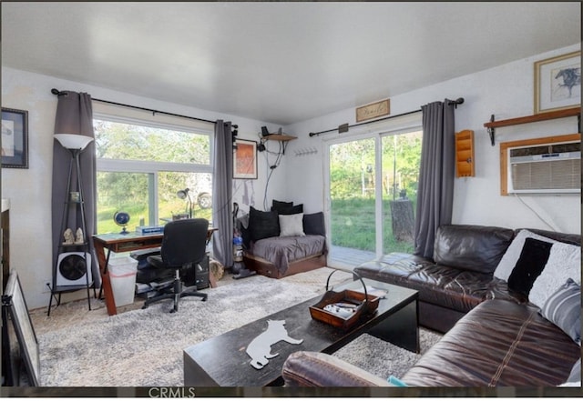 172 Rich Gulch Rd, Oroville, CA 95965 - photo 27