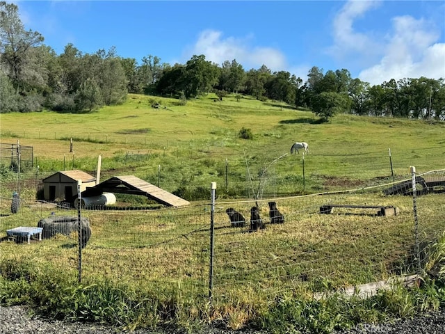172 Rich Gulch Rd, Oroville, CA 95965 - photo 69