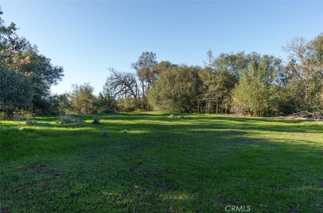 172 Rich Gulch Rd, Oroville, CA 95965 - photo 30