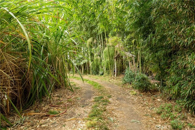 160 E Franklin Ave, Pomona, CA 91766 - view of local wilderness