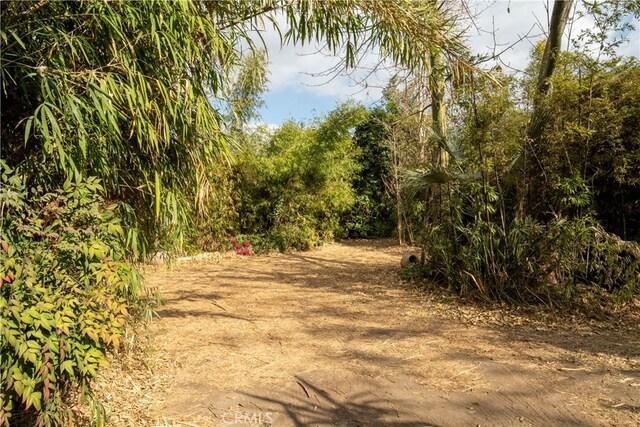 160 E Franklin Ave, Pomona, CA 91766 - view of local wilderness