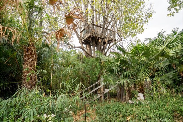 160 E Franklin Ave, Pomona, CA 91766 - view of nature