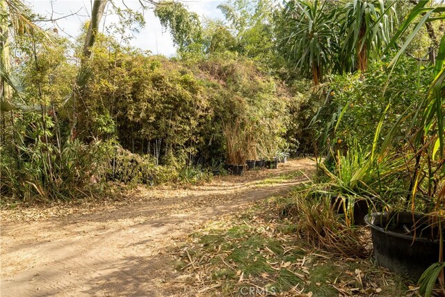160 E Franklin Ave, Pomona, CA 91766 - view of local wilderness