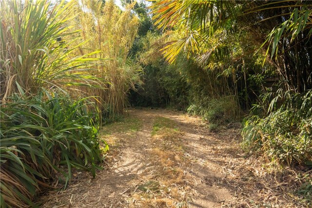 160 E Franklin Ave, Pomona, CA 91766 - view of nature