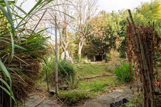 160 E Franklin Ave, Pomona, CA 91766 - view of undeveloped land