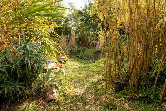 160 E Franklin Ave, Pomona, CA 91766 - view of nature