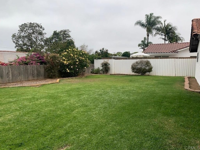 3465 Spanish Way, Carlsbad, CA 92008 - view of yard