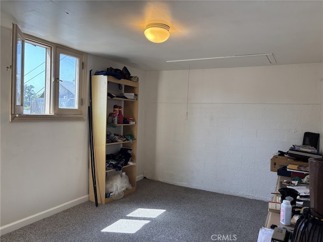 919 Dexter St, Los Angeles, CA 90042 - below grade area featuring carpet floors