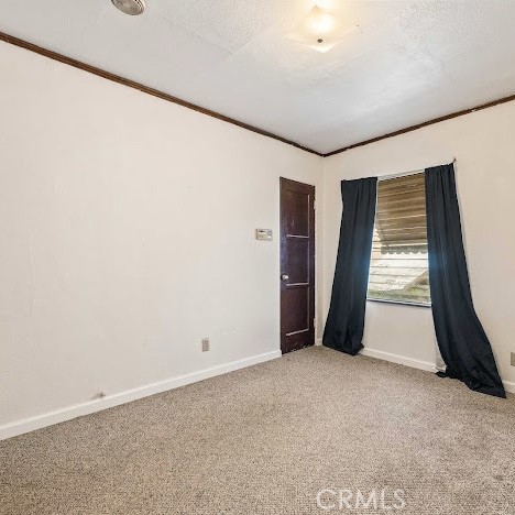 919 Dexter St, Los Angeles, CA 90042 - unfurnished room featuring light carpet, ornamental molding, and a textured ceiling