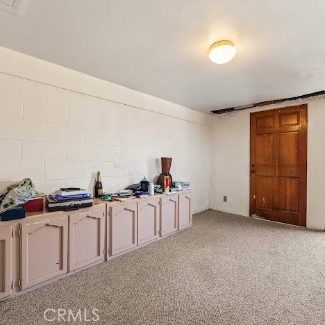 919 Dexter St, Los Angeles, CA 90042 - below grade area with concrete block wall and light carpet
