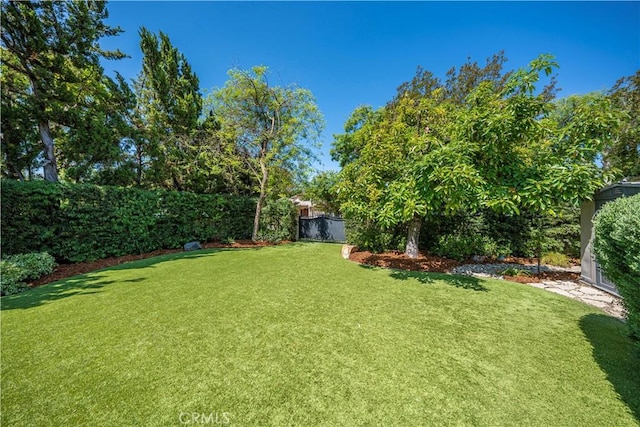 536 W Palm Dr, Arcadia, CA 91007 - view of yard