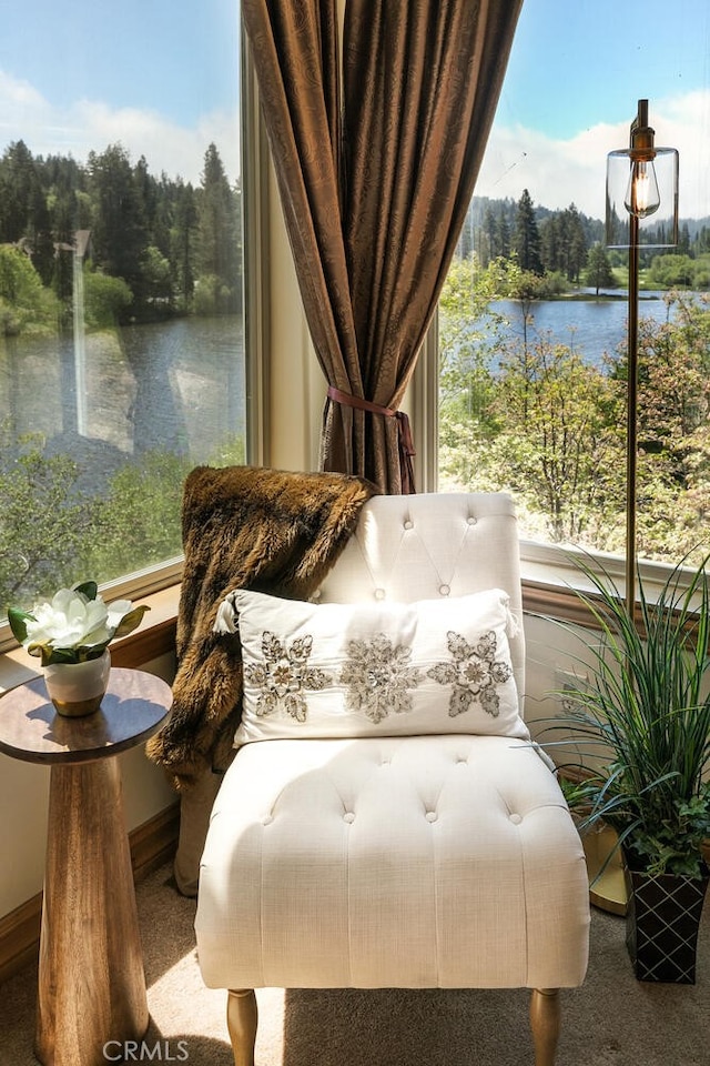 781 Brentwood Dr, Lake Arrowhead, CA 92352 - detailed view of nearby water and carpet floors