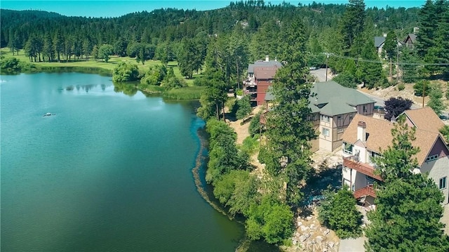 781 Brentwood Dr, Lake Arrowhead, CA 92352 - view of property location with a heavily wooded area and a large body of water